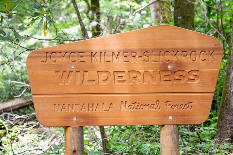 Joyce Kilmer Memorial Forest Hd Carolina