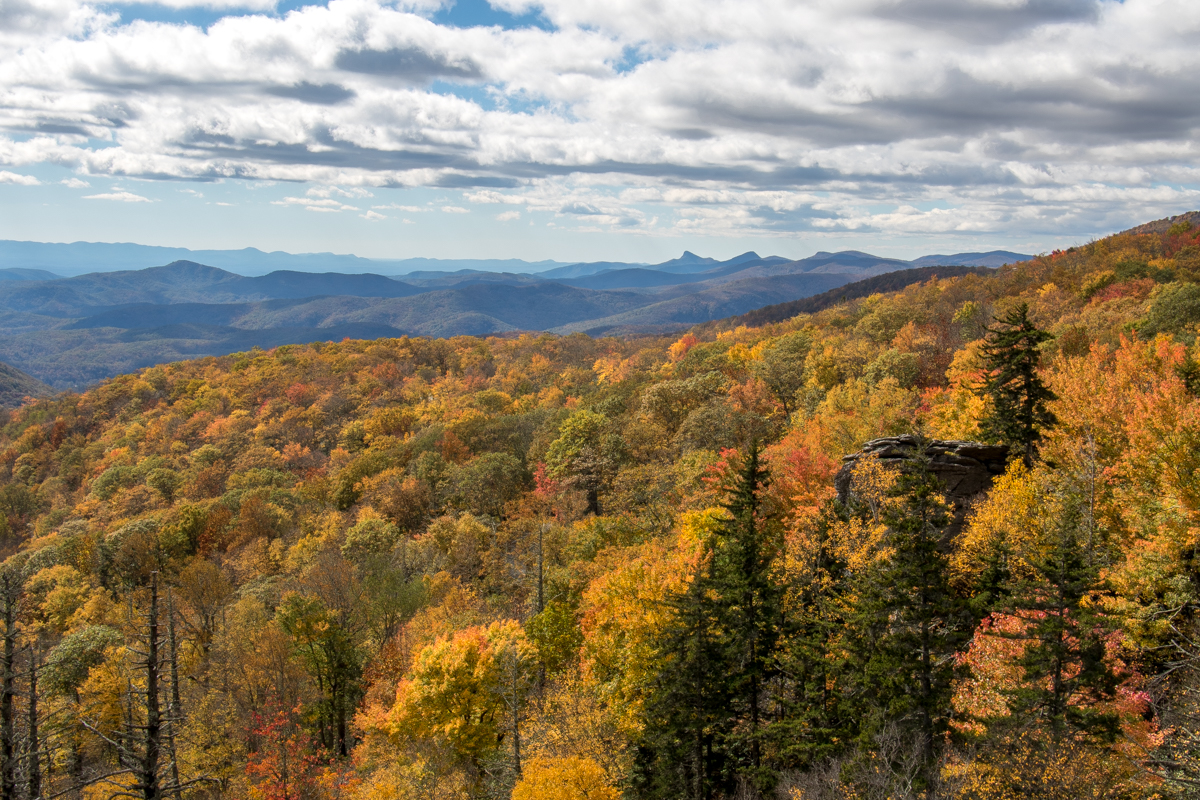 50 Days to the Start of Autumn 2018! – HD Carolina