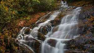 Sam Branch and Wash Hollow Falls