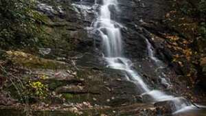 Reedy Branch Falls