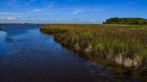 Currituck Banks Reserve