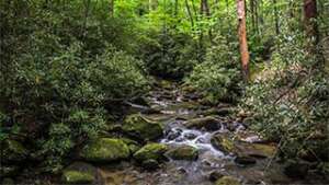 Jones Gap State Park